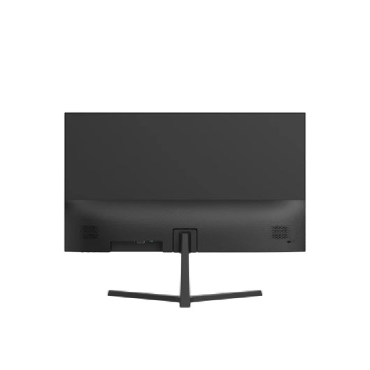 Monitor Dahua 