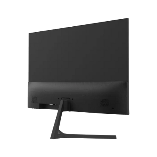 Monitor Dahua 