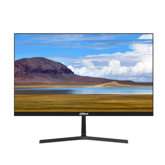 Monitor Dahua 