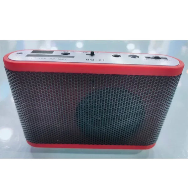 Speaker 